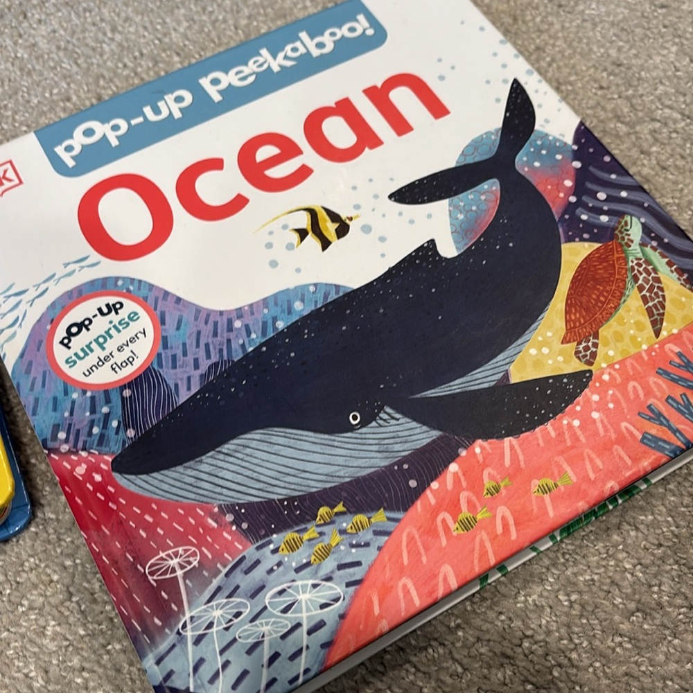 Two Pop-Up Peekaboo Books - Picture 3 of 6